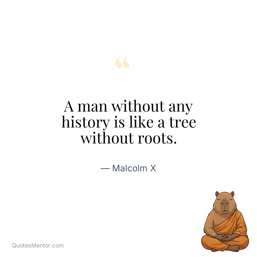 A man without any history is like a tree without roots. - Malcolm X