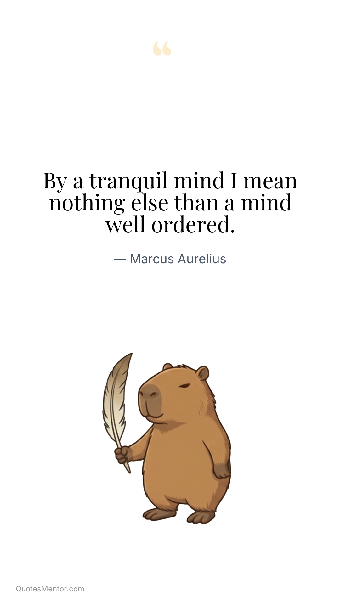 By a tranquil mind I mean nothing else than a mind well ordered. - Marcus Aurelius
