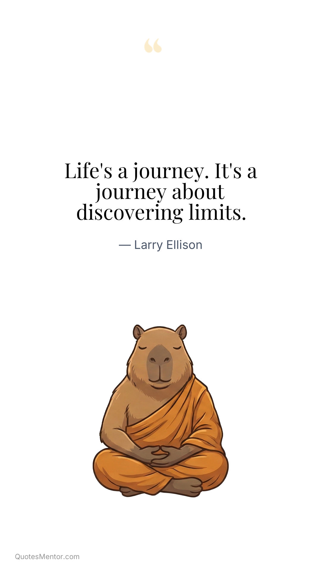 Life's a journey. It's a journey about discovering limits. - Larry Ellison