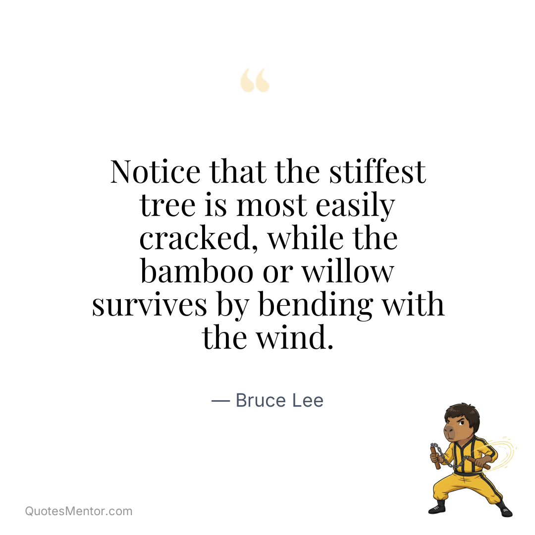 Notice that the stiffest tree is most easily cracked, while the bamboo or willow survives by bending with the wind. - Bruce Lee
