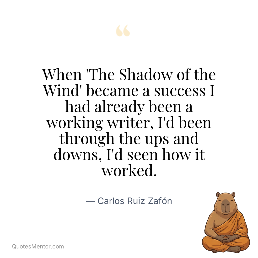 When ‘The Shadow of the Wind’ became a success I had already been a working writer, I’d been through the ups and downs, I’d seen how it worked. - Carlos Ruiz Zafón