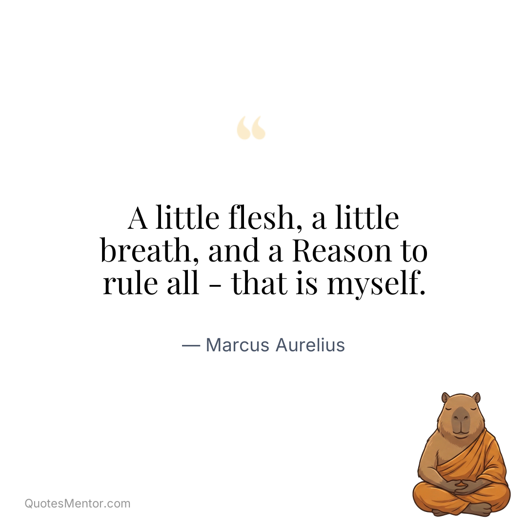 A little flesh, a little breath, and a Reason to rule all - that is myself. - Marcus Aurelius