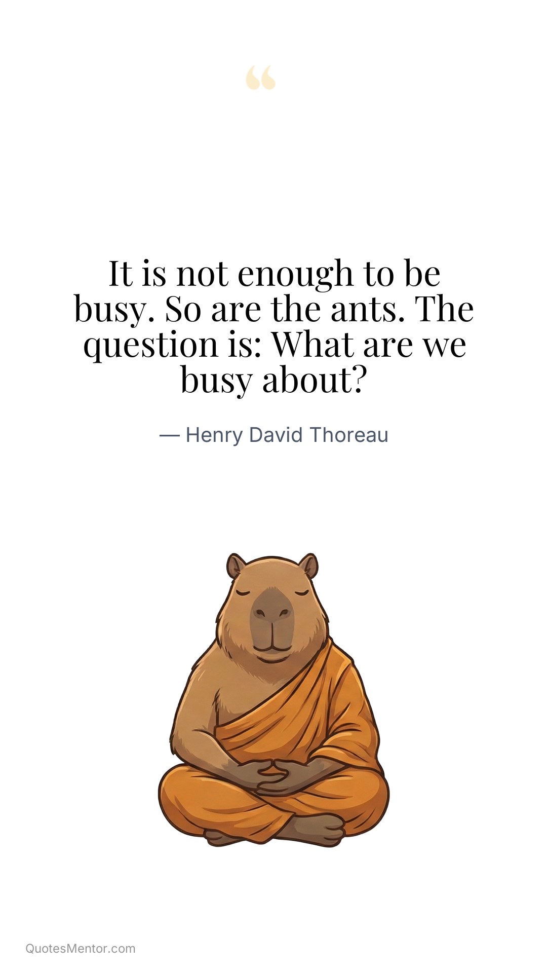It is not enough to be busy. So are the ants. The question is: What are we busy about? - Henry David Thoreau