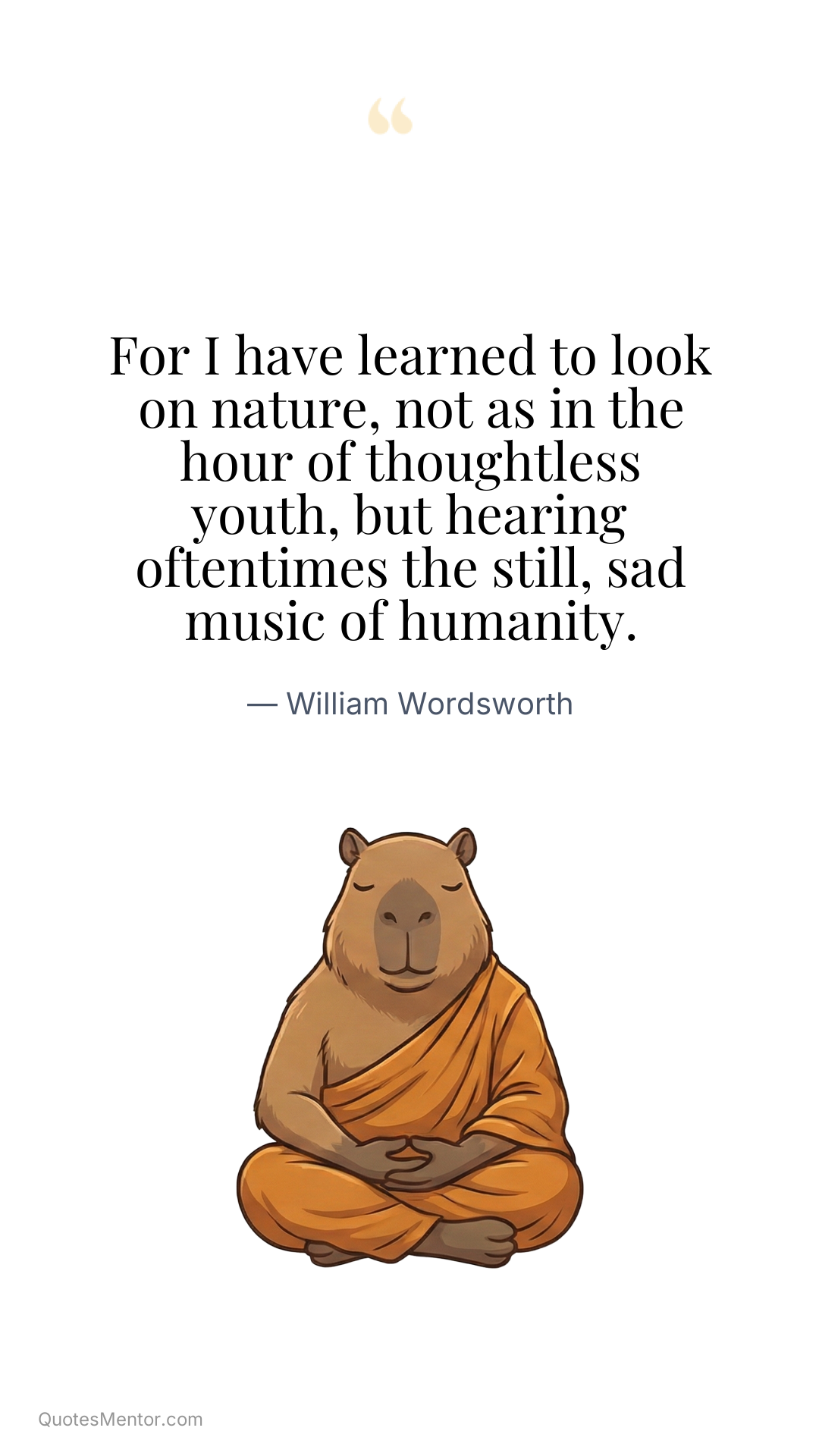 For I have learned to look on nature, not as in the hour of thoughtless youth, but hearing oftentimes the still, sad music of humanity. - William Wordsworth