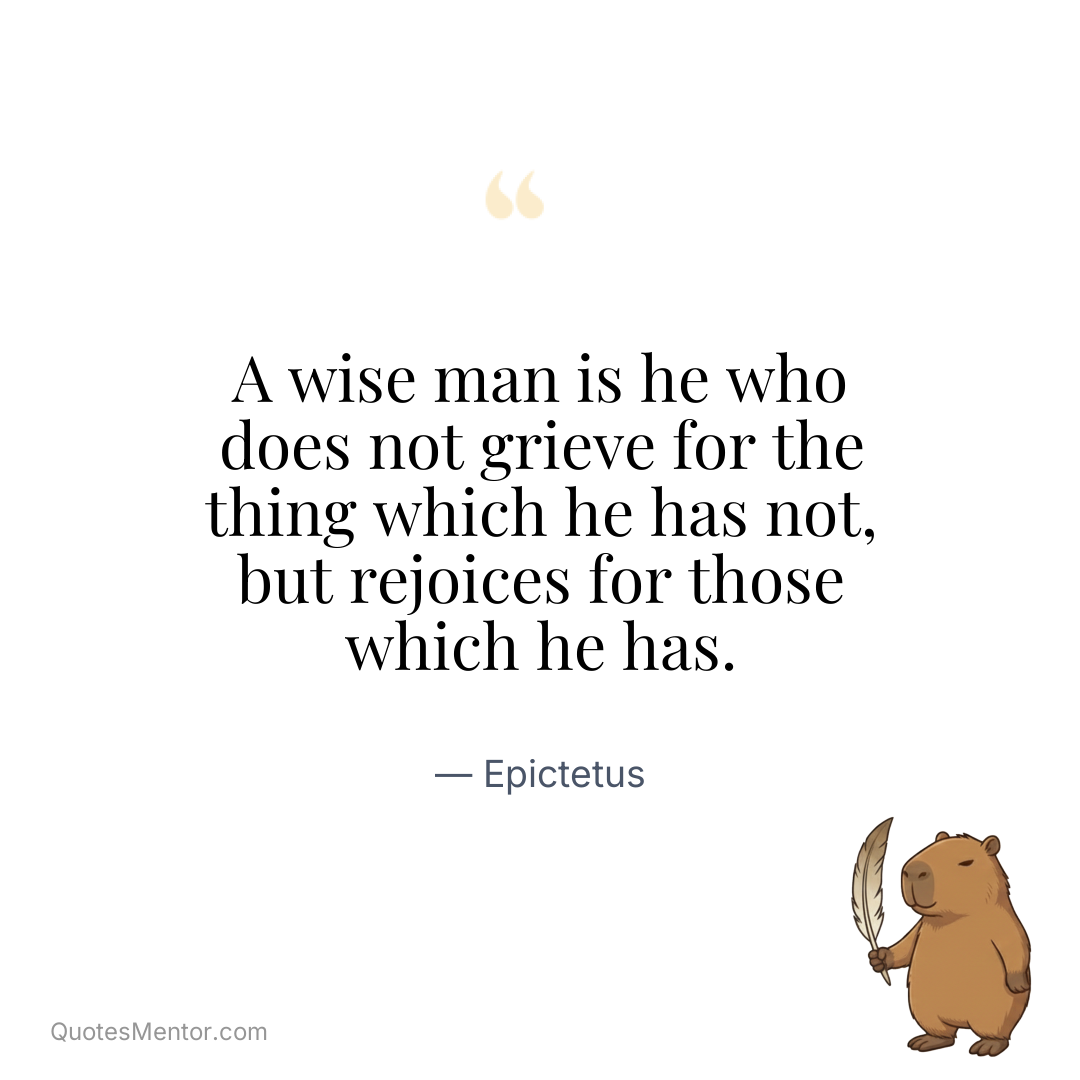 A wise man is he who does not grieve for the thing which he has not, but rejoices for those which he has. - Epictetus