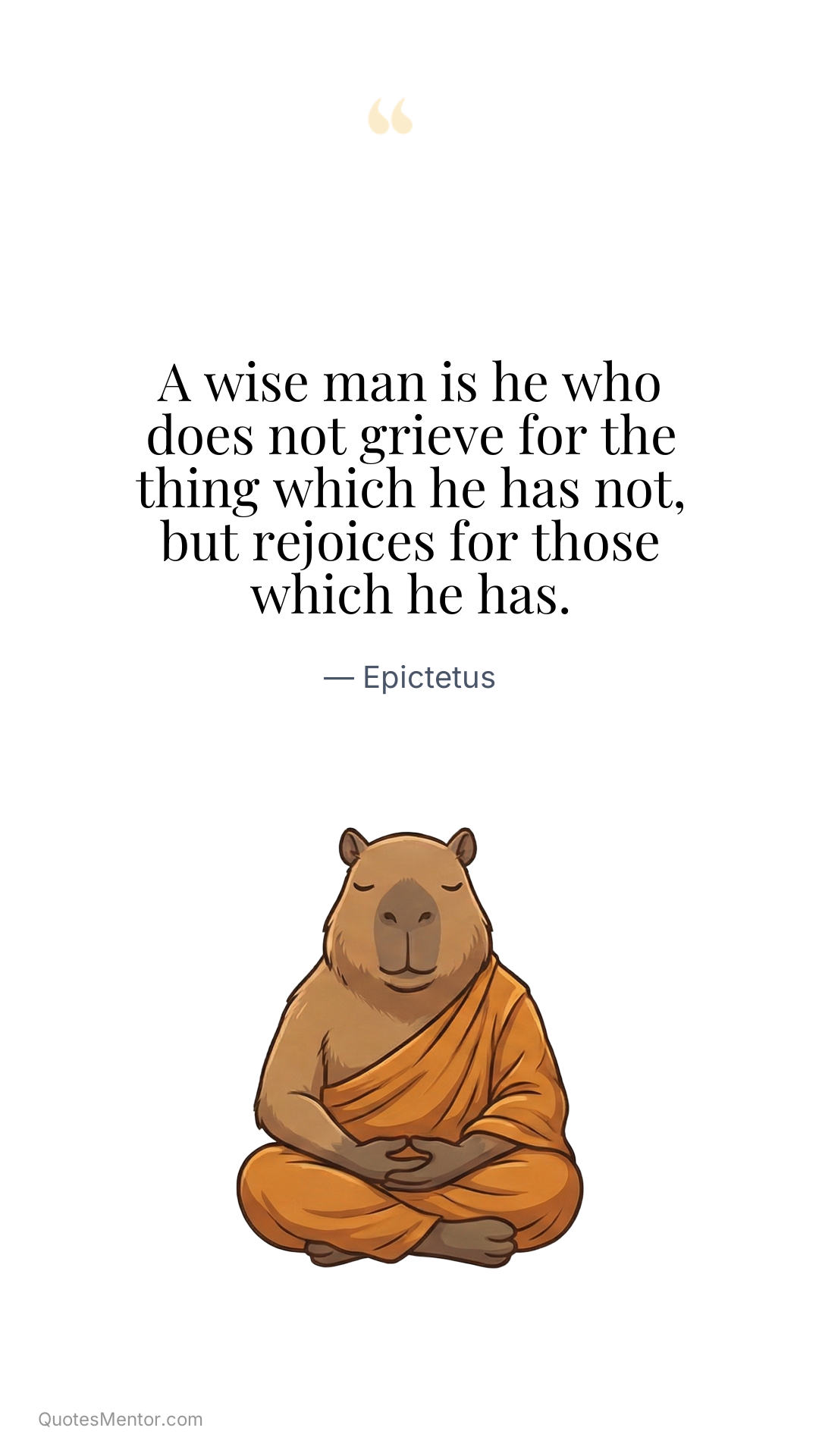 A wise man is he who does not grieve for the thing which he has not, but rejoices for those which he has. - Epictetus