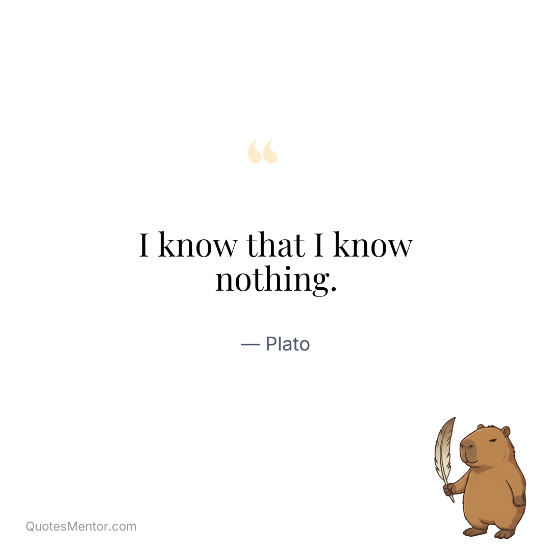 I know that I know nothing. - Plato