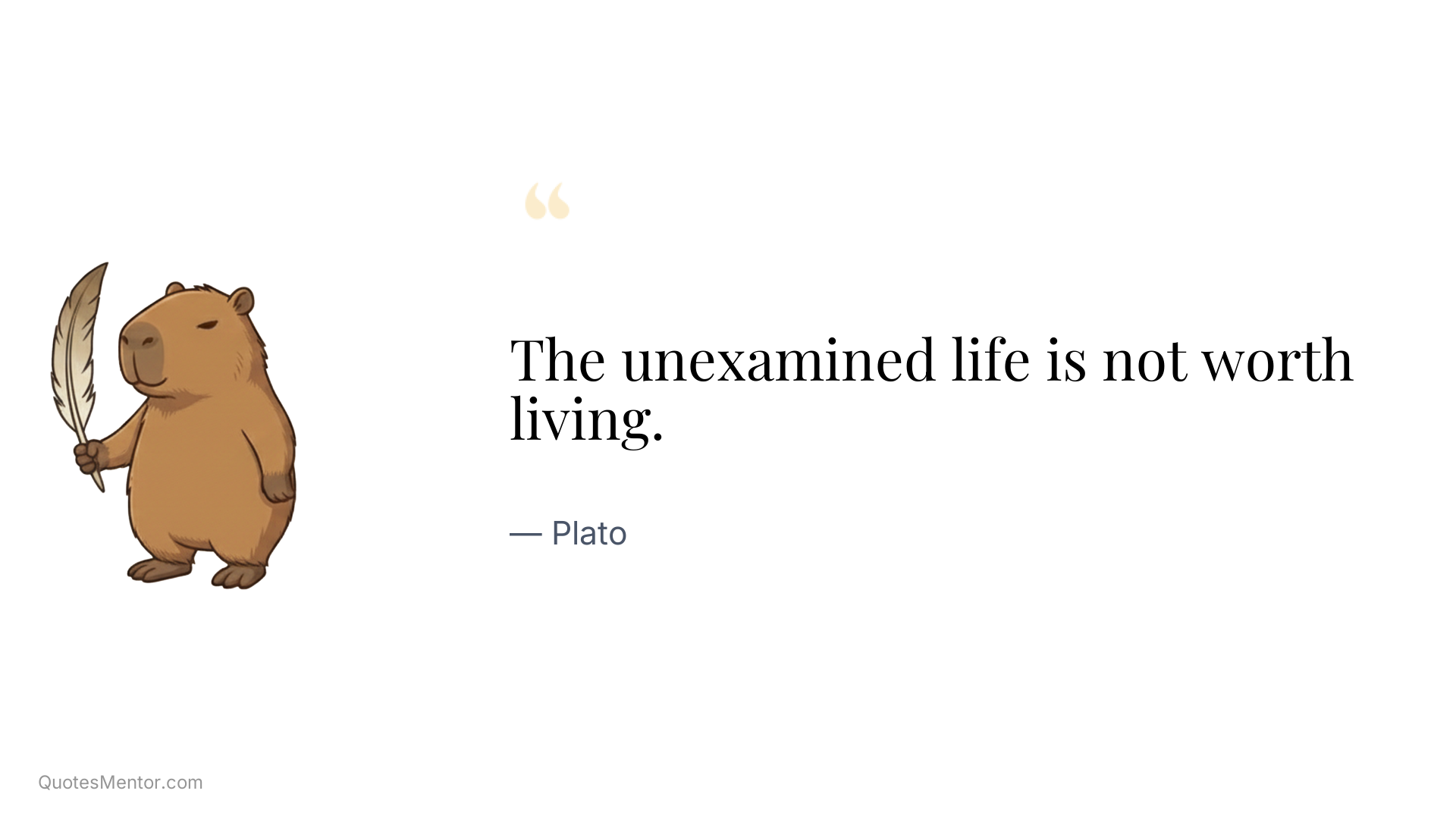 The unexamined life is not worth living. - Plato