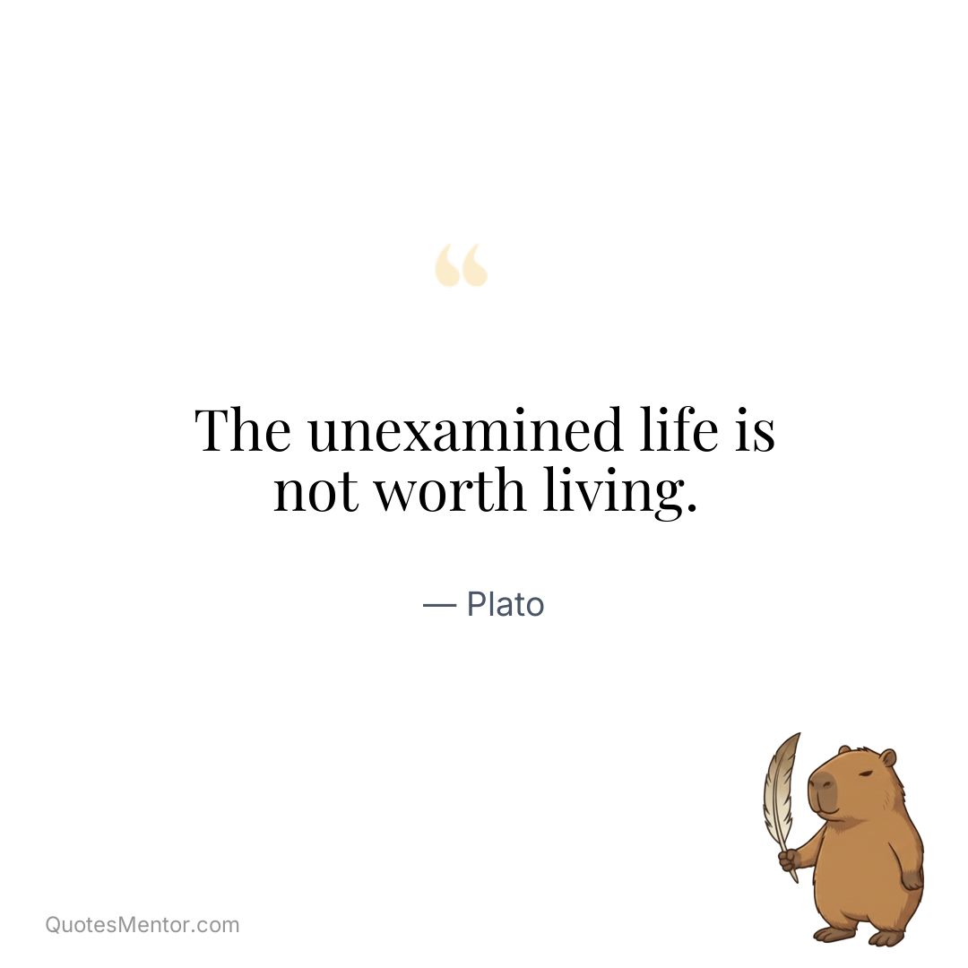 The unexamined life is not worth living. - Plato
