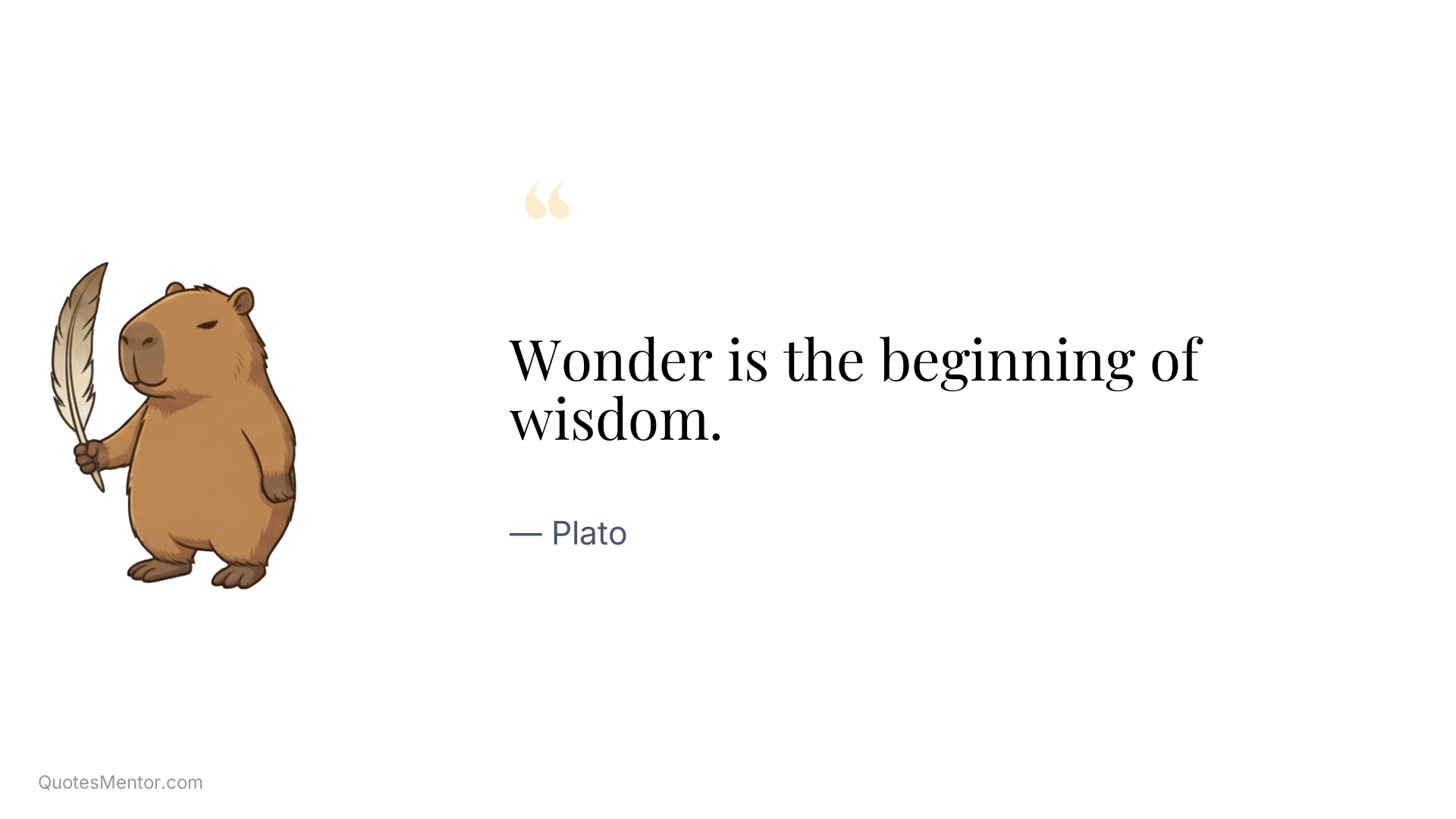 Wonder is the beginning of wisdom. - Plato