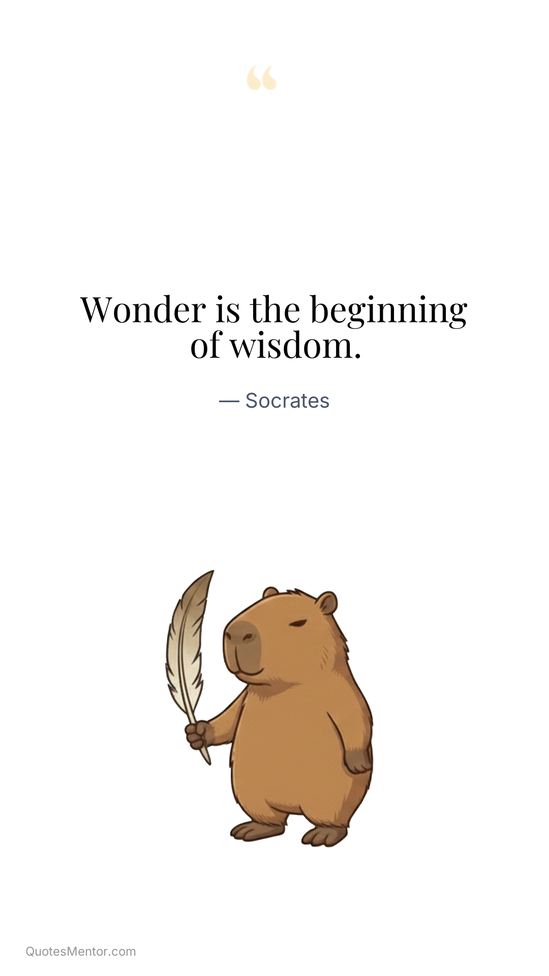 Wonder is the beginning of wisdom. - Socrates