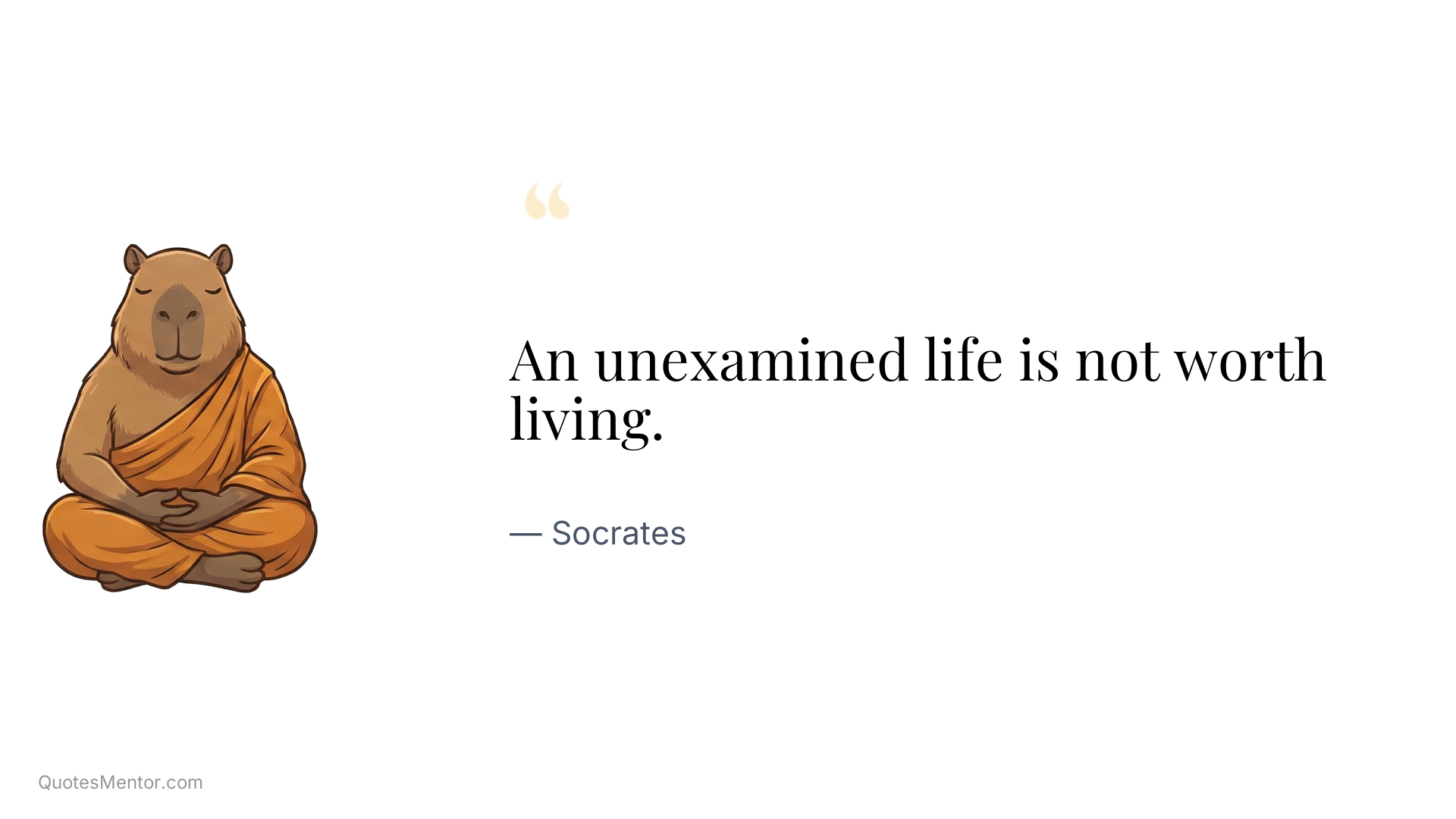 An unexamined life is not worth living. - Socrates